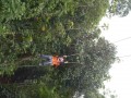 Tn DSC 4011